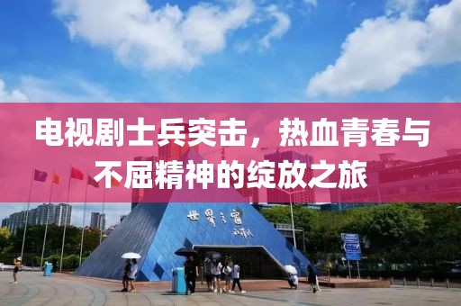电视剧士兵突击，热血青春与不屈精神的绽放之旅