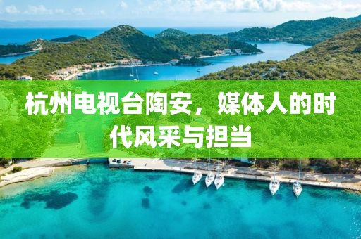 杭州电视台陶安，媒体人的时代风采与担当