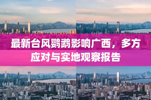 最新台风鹦鹉影响广西，多方应对与实地观察报告