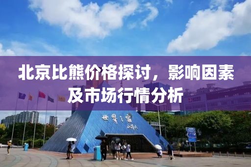 北京比熊价格探讨，影响因素及市场行情分析