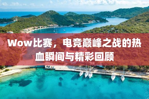 Wow比赛，电竞巅峰之战的热血瞬间与精彩回顾