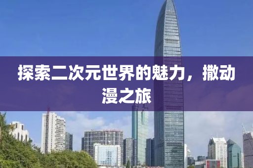 探索二次元世界的魅力，撒动漫之旅