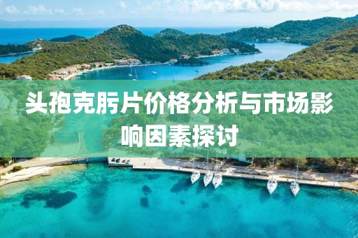 头孢克肟片价格分析与市场影响因素探讨