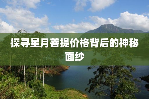 孤毒 第15页