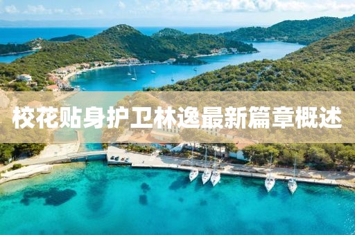 校花贴身护卫林逸最新篇章概述