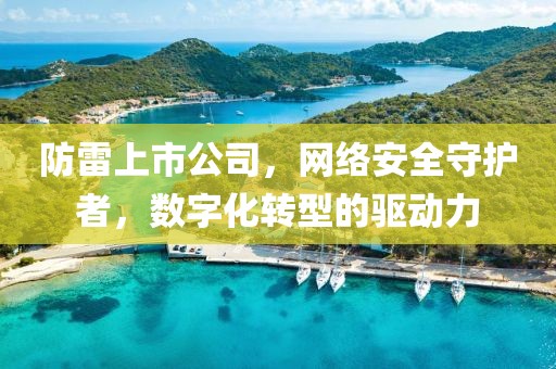 防雷上市公司，网络安全守护者，数字化转型的驱动力