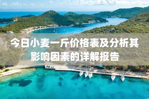 今日小麦一斤价格表及分析其影响因素的详解报告