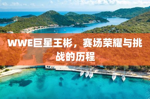WWE巨星王彬，赛场荣耀与挑战的历程