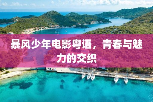暴风少年电影粤语，青春与魅力的交织