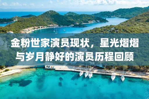 金粉世家演员现状，星光熠熠与岁月静好的演员历程回顾