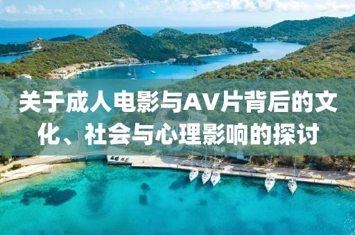 关于成人电影与AV片背后的文化、社会与心理影响的探讨