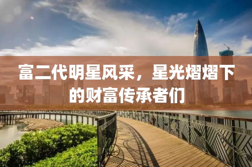 富二代明星风采，星光熠熠下的财富传承者们