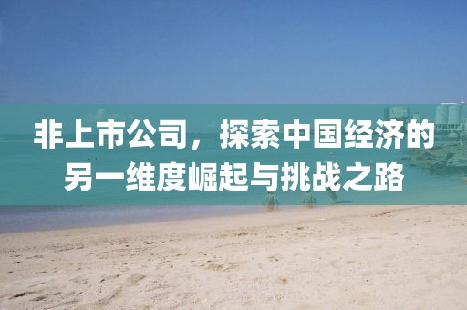 非上市公司，探索中国经济的另一维度崛起与挑战之路