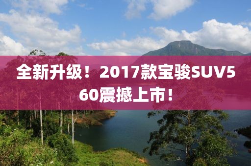 2024年12月17日 第8页