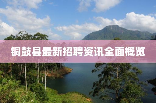 铜鼓县最新招聘资讯全面概览