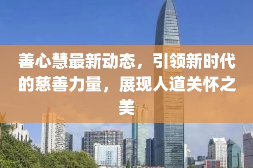 善心慧最新动态，引领新时代的慈善力量，展现人道关怀之美
