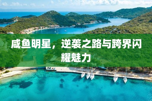 咸鱼明星，逆袭之路与跨界闪耀魅力