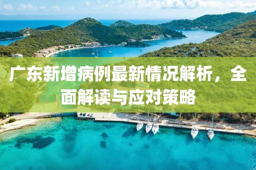 广东新增病例最新情况解析，全面解读与应对策略