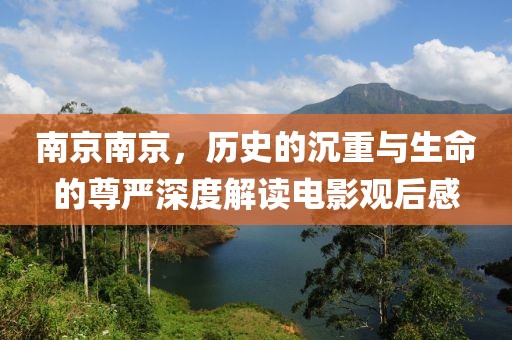 南京南京，历史的沉重与生命的尊严深度解读电影观后感