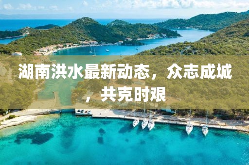 湖南洪水最新动态，众志成城，共克时艰