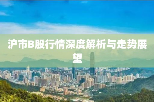 沪市B股行情深度解析与走势展望