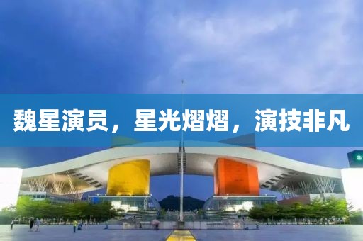魏星演员，星光熠熠，演技非凡