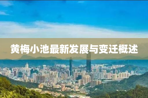 黄梅小池最新发展与变迁概述