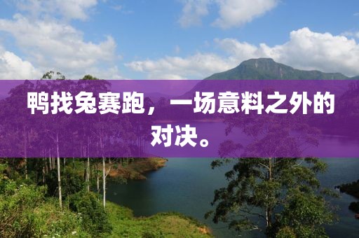 鸭找兔赛跑，一场意料之外的对决。