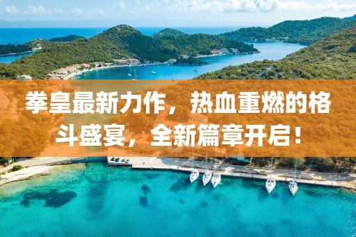 拳皇最新力作，热血重燃的格斗盛宴，全新篇章开启！