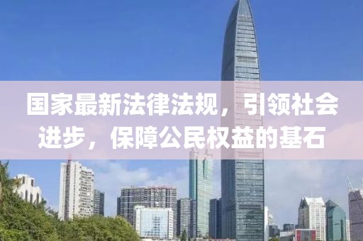 国家最新法律法规，引领社会进步，保障公民权益的基石