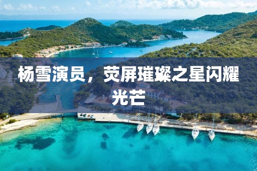 杨雪演员，荧屏璀璨之星闪耀光芒
