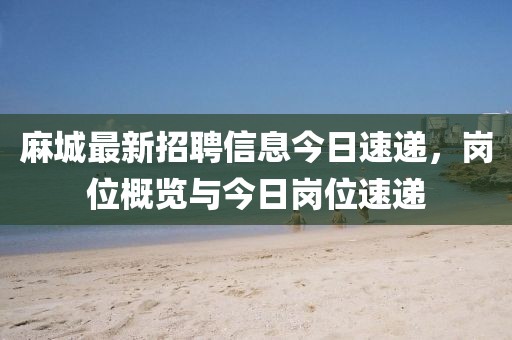 麻城最新招聘信息今日速递，岗位概览与今日岗位速递