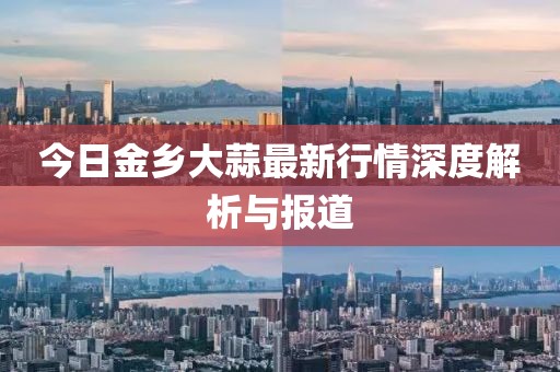 今日金乡大蒜最新行情深度解析与报道