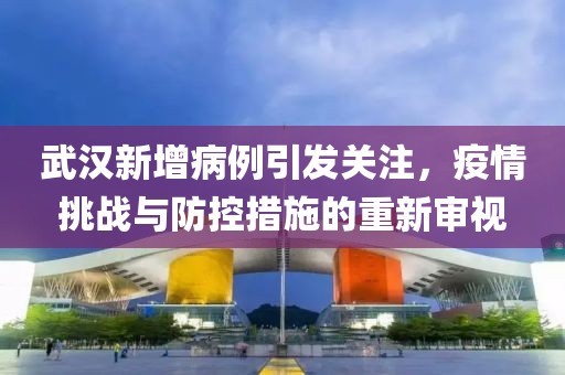 武汉新增病例引发关注，疫情挑战与防控措施的重新审视