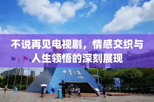 不说再见电视剧，情感交织与人生领悟的深刻展现
