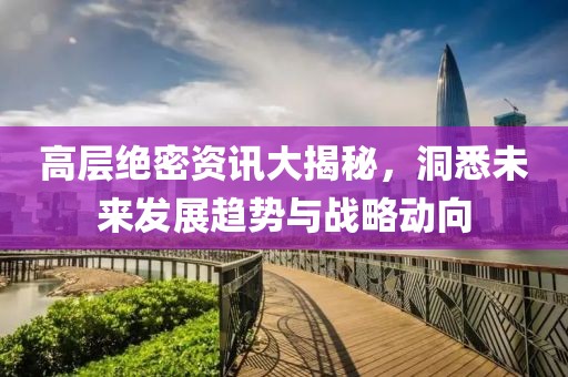 高层绝密资讯大揭秘，洞悉未来发展趋势与战略动向