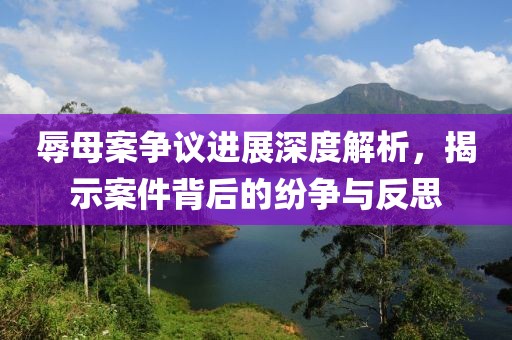 辱母案争议进展深度解析，揭示案件背后的纷争与反思