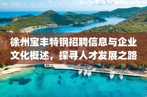 徐州宝丰特钢招聘信息与企业文化概述，探寻人才发展之路