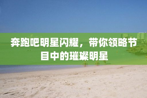 奔跑吧明星闪耀，带你领略节目中的璀璨明星