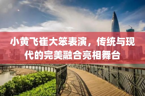 小黄飞崔大笨表演，传统与现代的完美融合亮相舞台