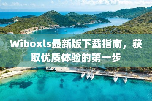 Wiboxls最新版下载指南，获取优质体验的第一步