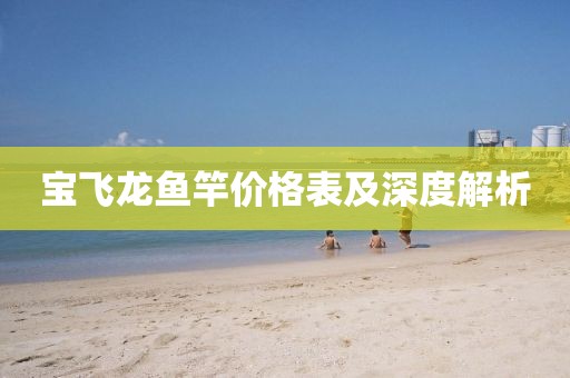 宝飞龙鱼竿价格表及深度解析