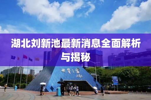 湖北刘新池最新消息全面解析与揭秘