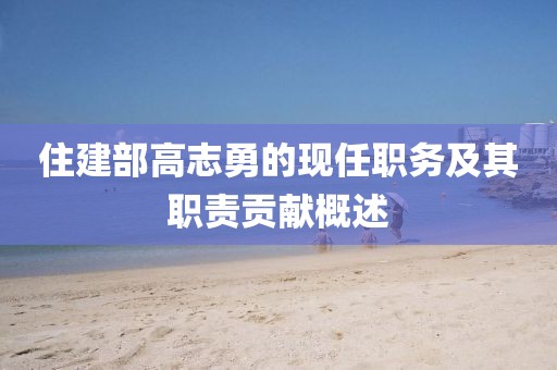 住建部高志勇的现任职务及其职责贡献概述