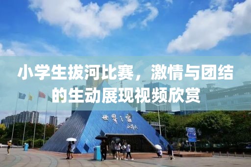 小学生拔河比赛，激情与团结的生动展现视频欣赏