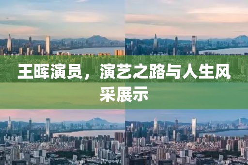 王晖演员，演艺之路与人生风采展示