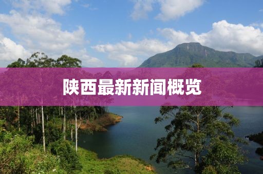 陕西最新新闻概览