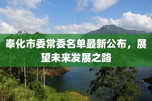 奉化市委常委名单最新公布，展望未来发展之路