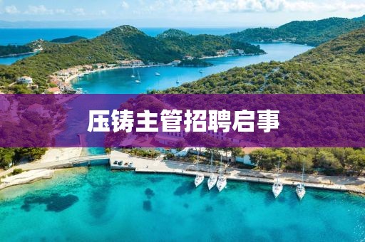 压铸主管招聘启事