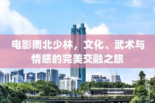 电影南北少林，文化、武术与情感的完美交融之旅